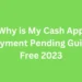 Why is My Cash App Payment Pending Guide Free 2023